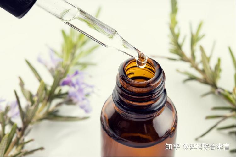 生物基认证计划 驱动可持续未来的绿色引擎